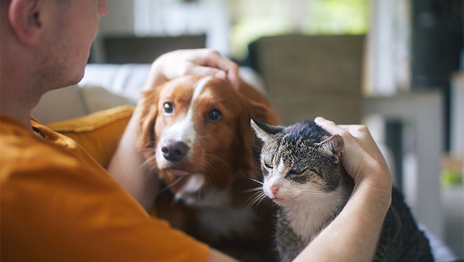 Man with dog and cat