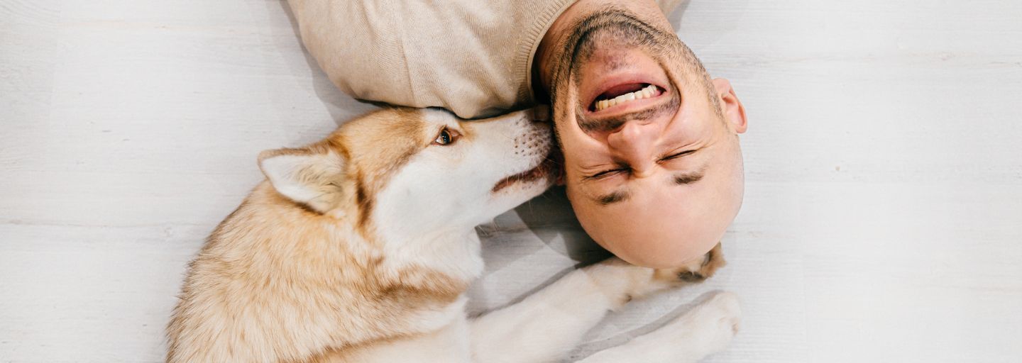 Dog laying on the floor with owner licking his ear