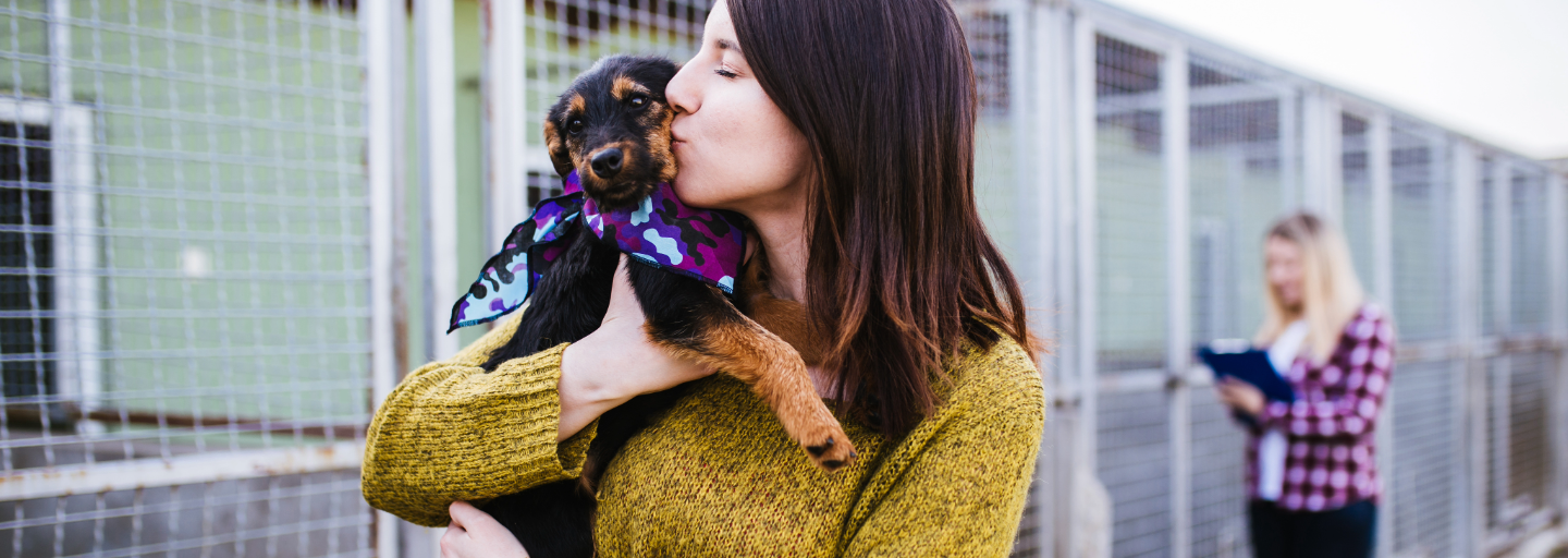 Woman kissing a rescue dog.