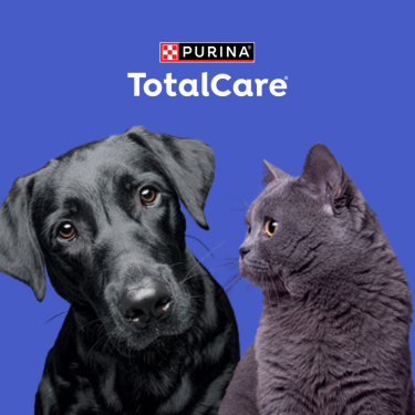 Total Care - Cat and Dog together