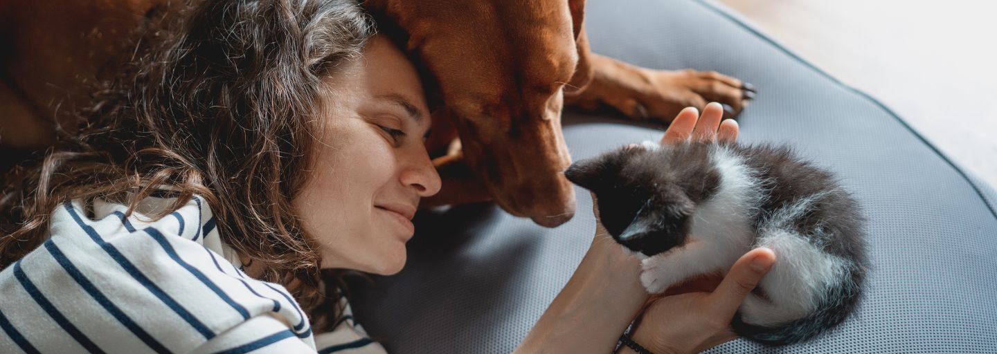 Portrait of a young woman with a Hungarian Pointer dog and a small kitten in her arms lying at home.