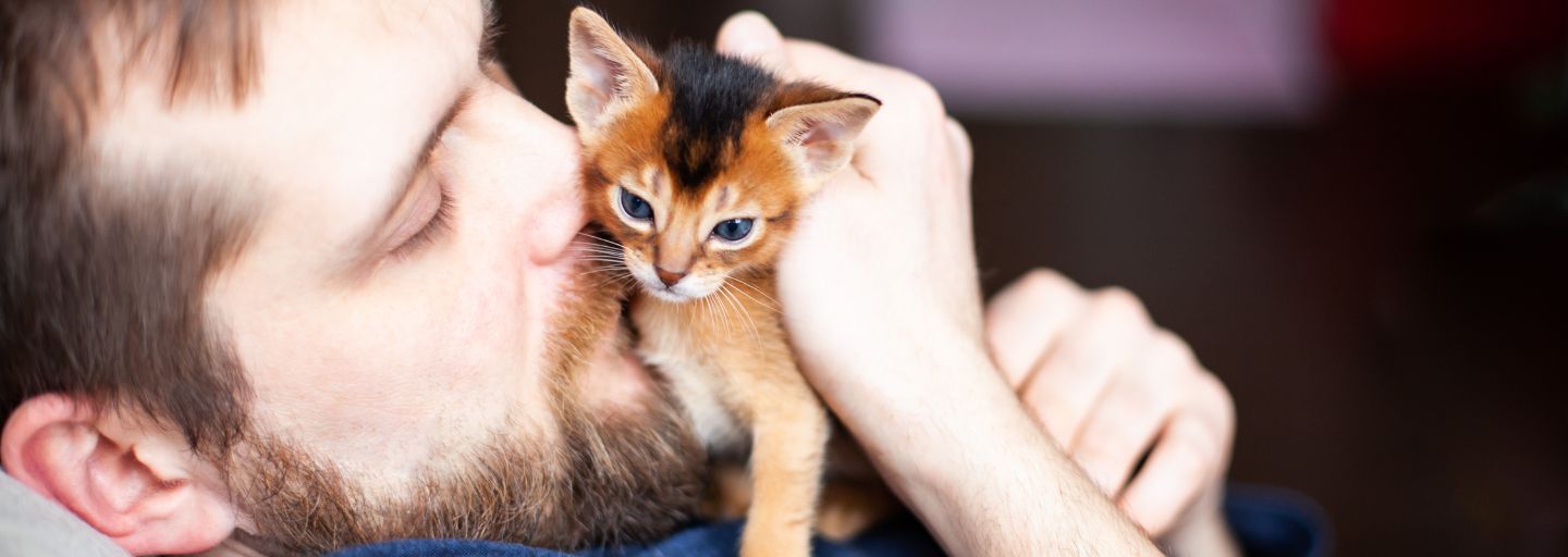 kitten with a man