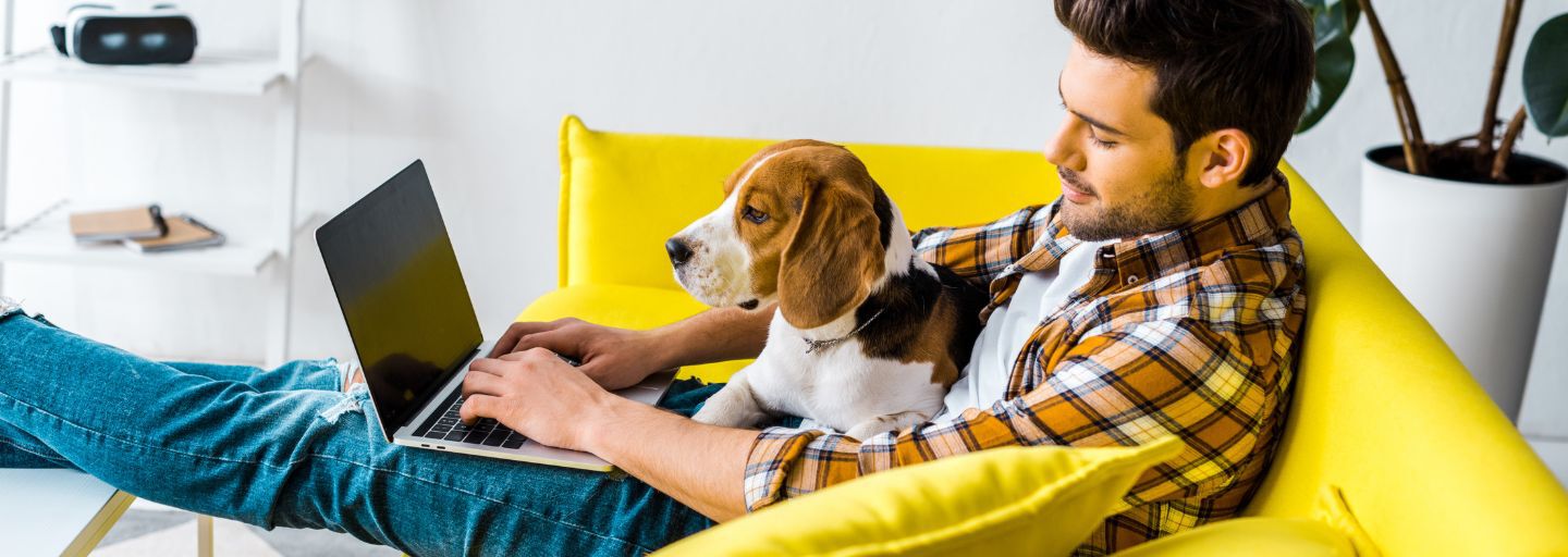 Owner with dog and laptop on his lap