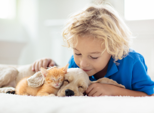 Little boy with kitten and puppy