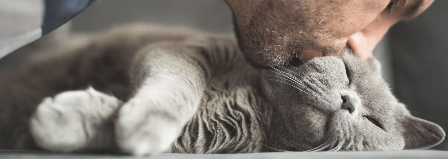 Man kissing a cat