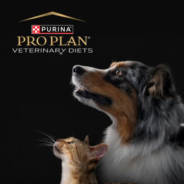 PRO PLAN Veterinary Diets - dog and cat on a black background