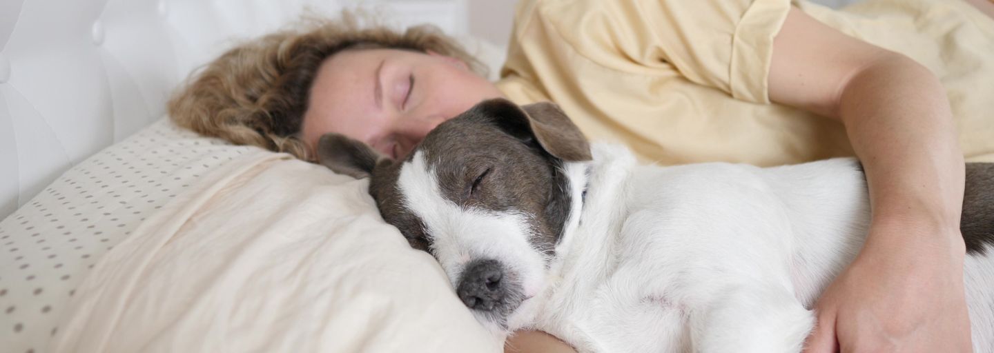 Owner and dog sleeping in bed.