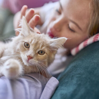 Girl petting cat on the couch