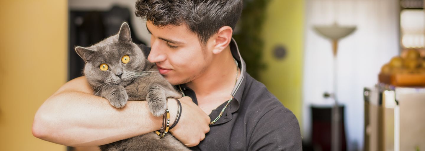 Handsome young animal-lover man inside the house, hugging his gray domestic cat pet.