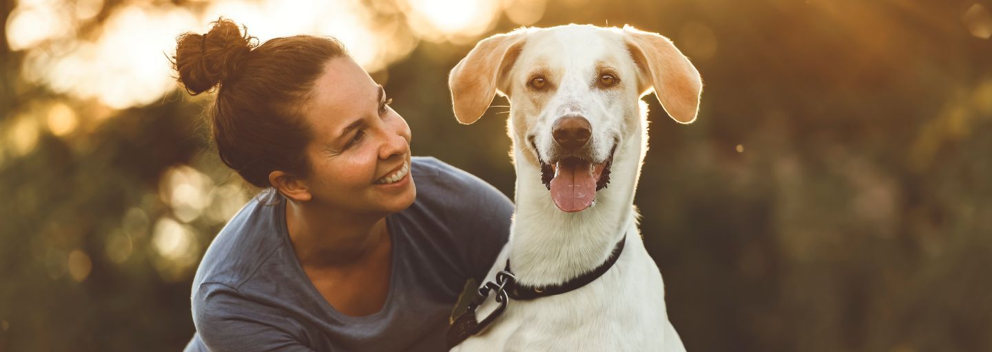 Owner and Dog Sitting Together Happily