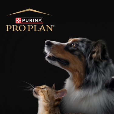 PRO PLAN dog and cat black background