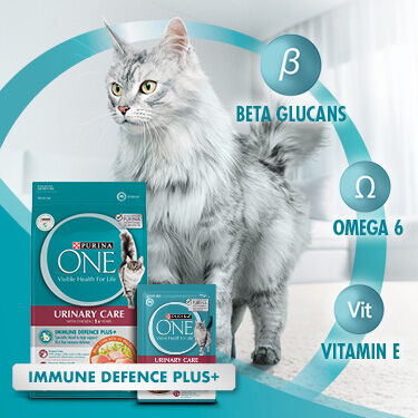 Purina One - immune defence products on a blue background