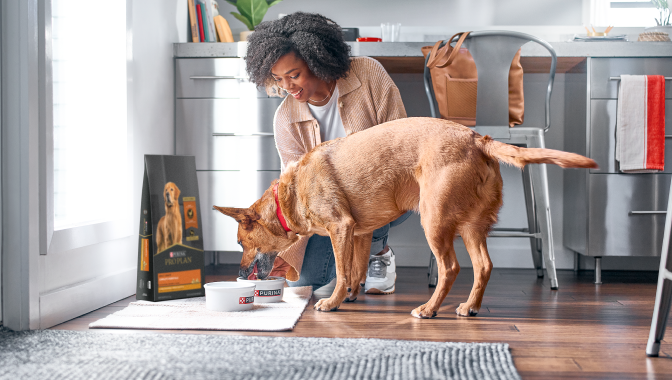 woman feeding dog in the kitchen