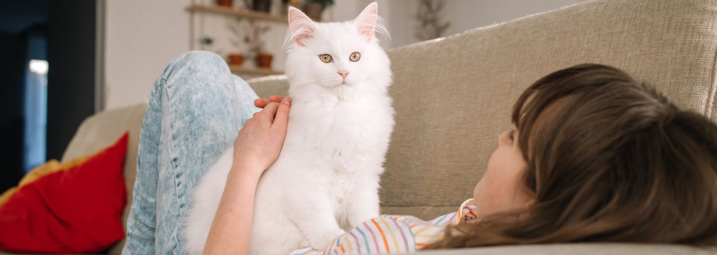 Girl laying on the couch with white cat on chest.