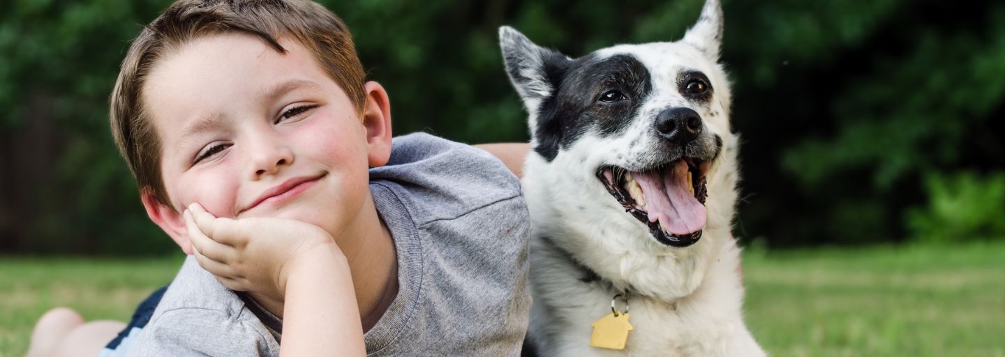 Little boy with dog in the garden.