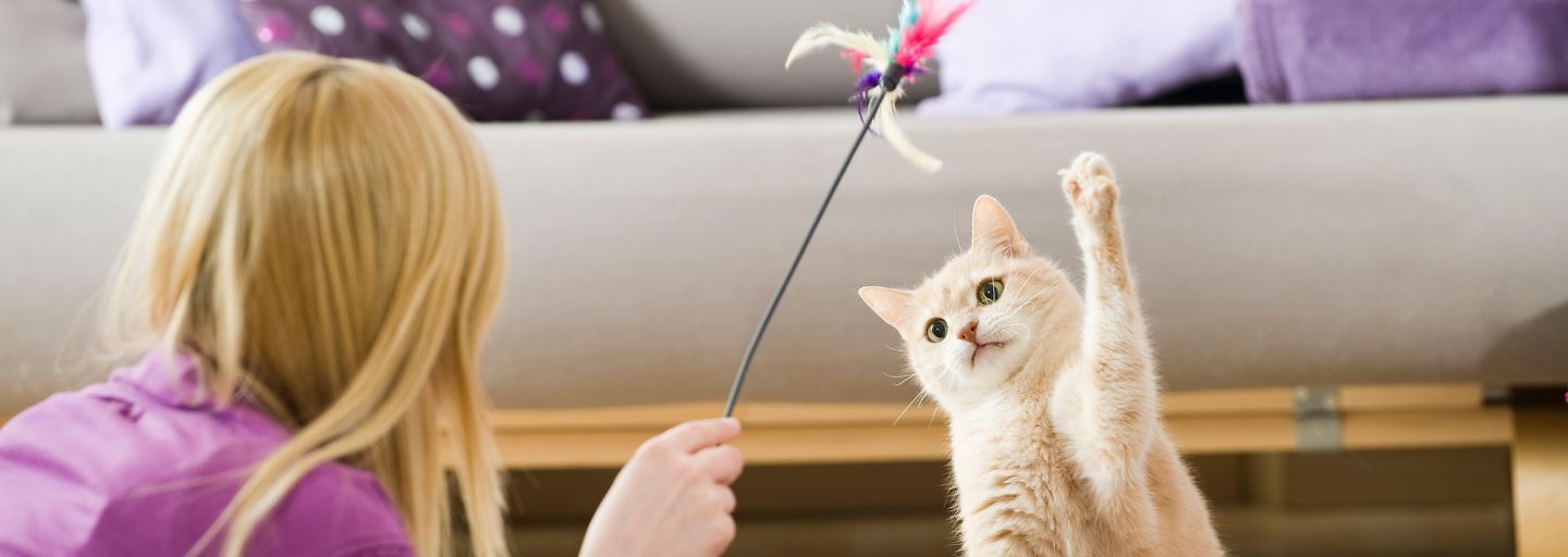 Girl playing with her cat.