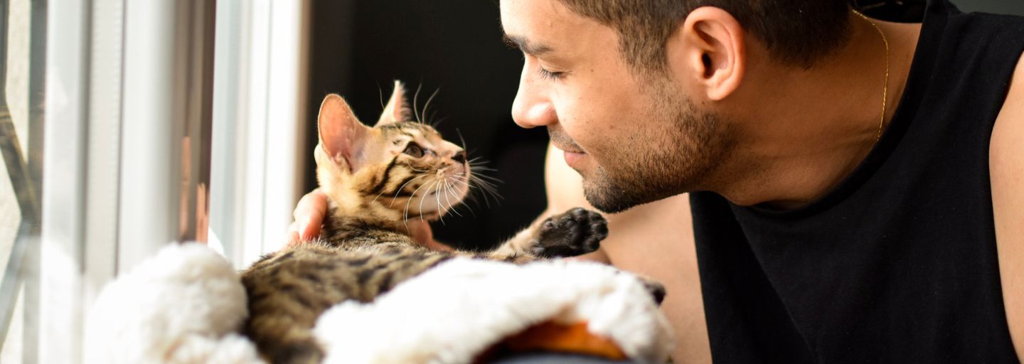 Owner looking lovingly at his new cat