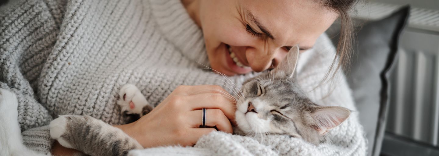 Beautiful cheerful young woman with a cute gray cat in her arms at home on the sofa.