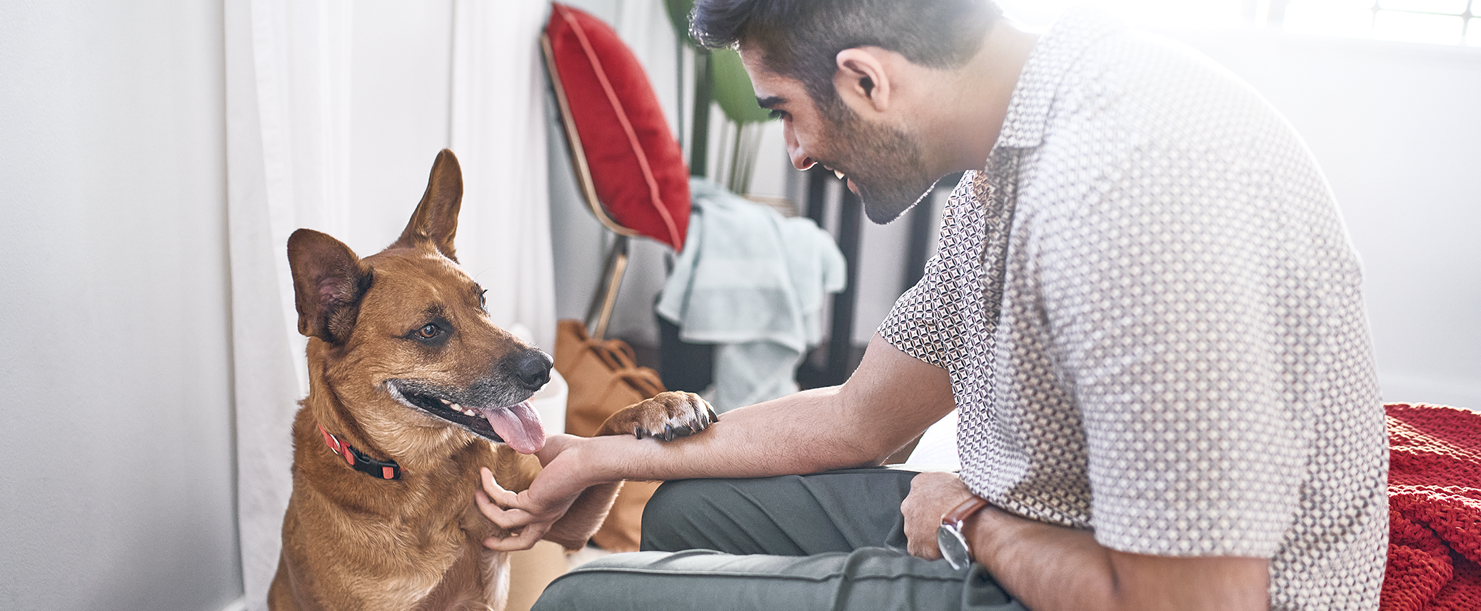 man playing with dog