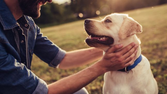 Supercoat - dog with owner