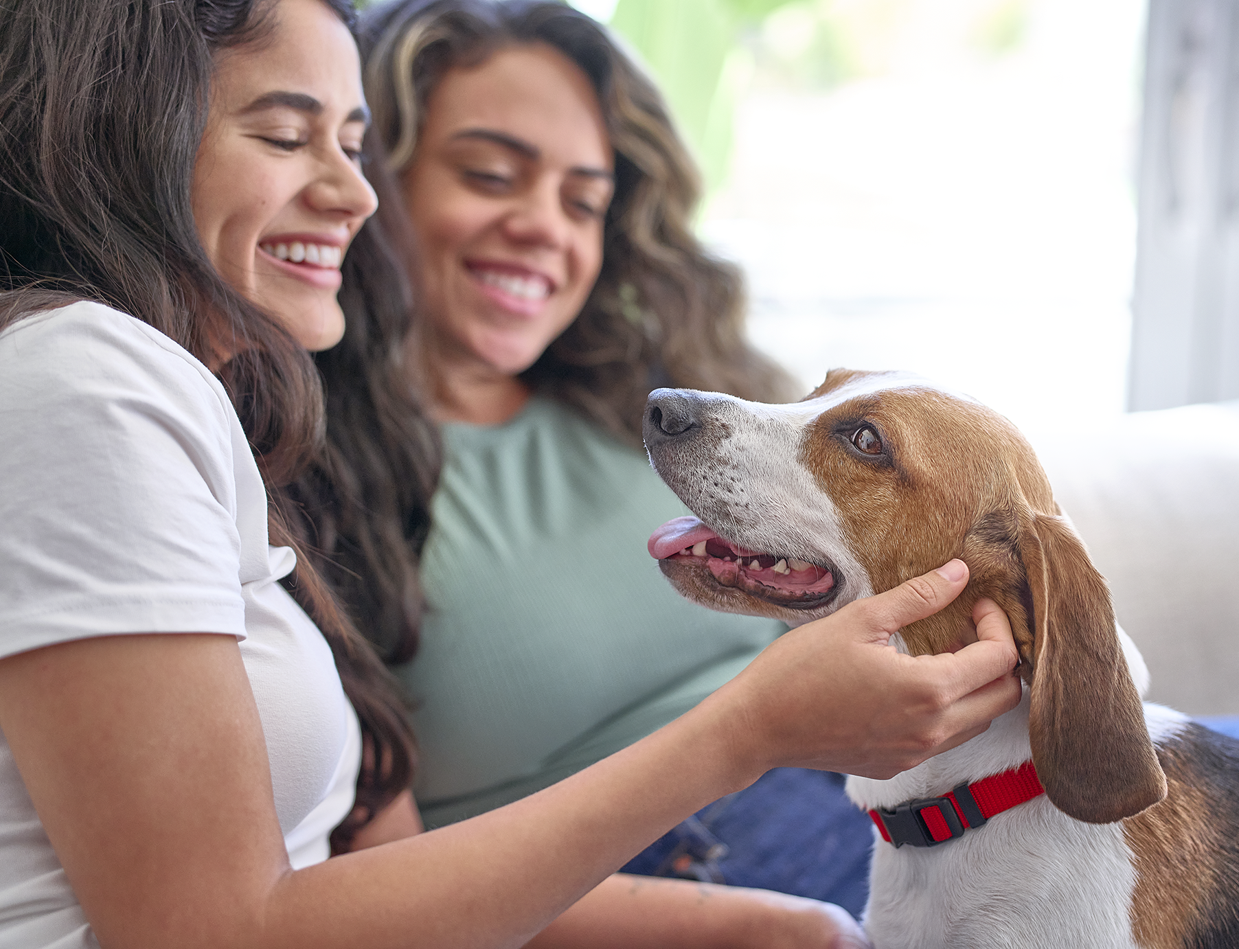 two girls with a dog