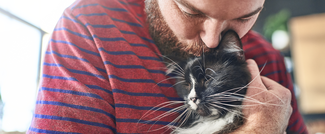 man hugging and kissing cat on the head